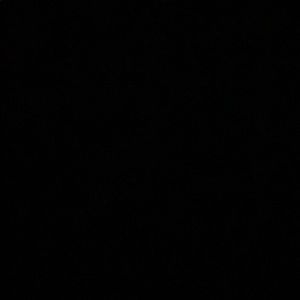 Meet your Posher, Manny